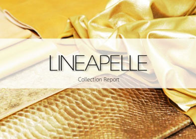 Lineapelle AW(10).jpg